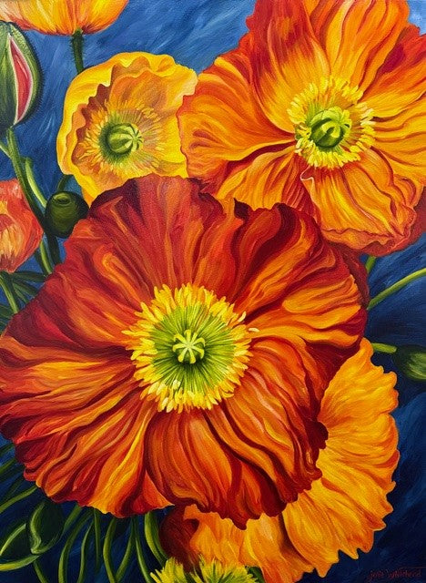 Orange poppies