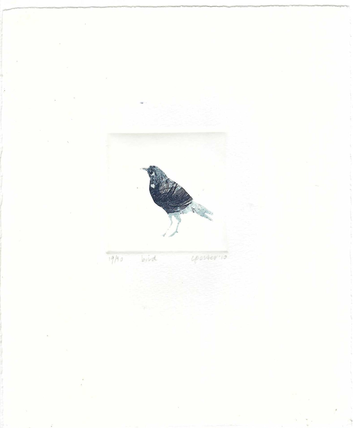 Christine Porter - Bird