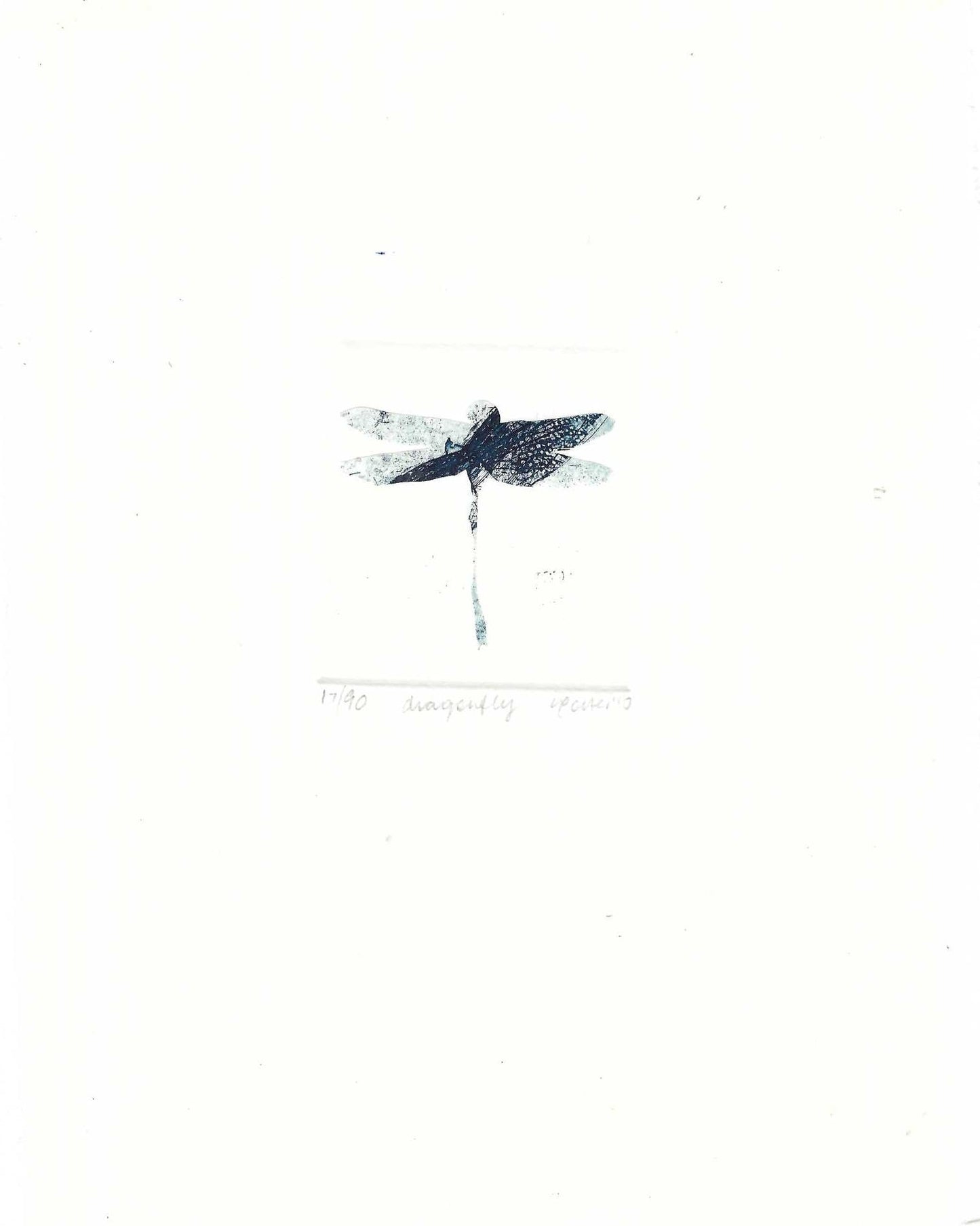 Christine Porter - Dragonfly
