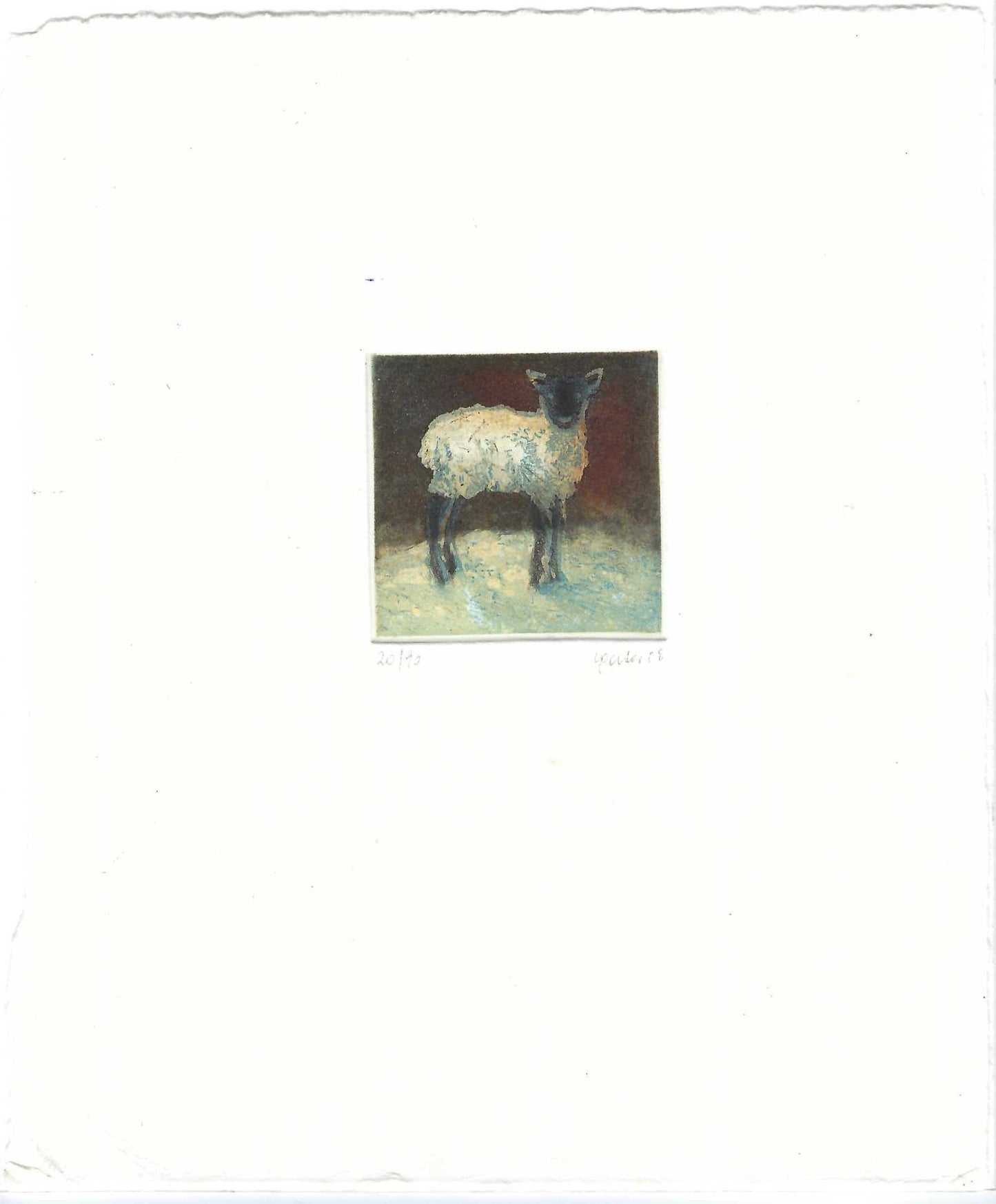 Christine Porter - Lamb