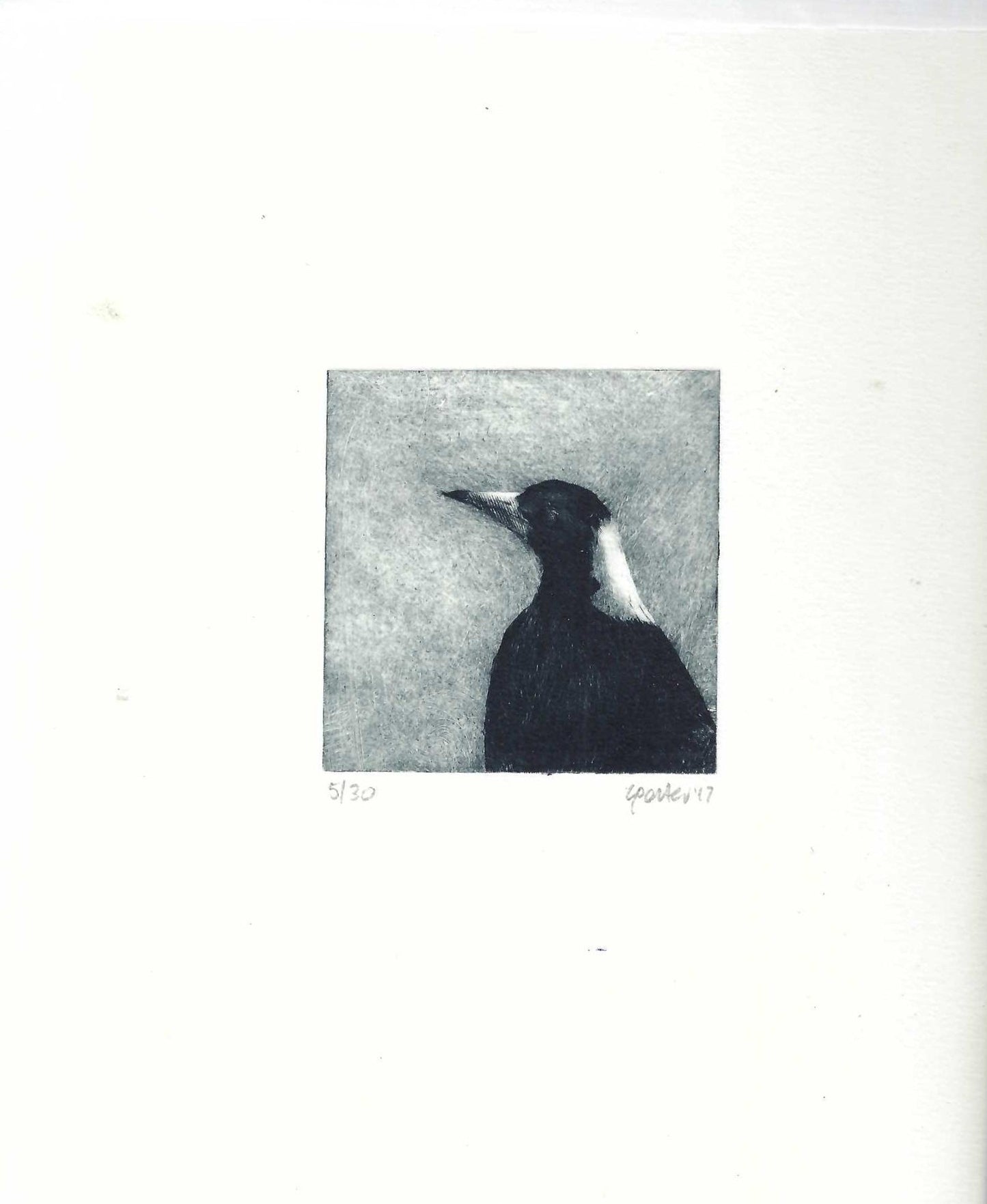 Christine Porter - Magpie V