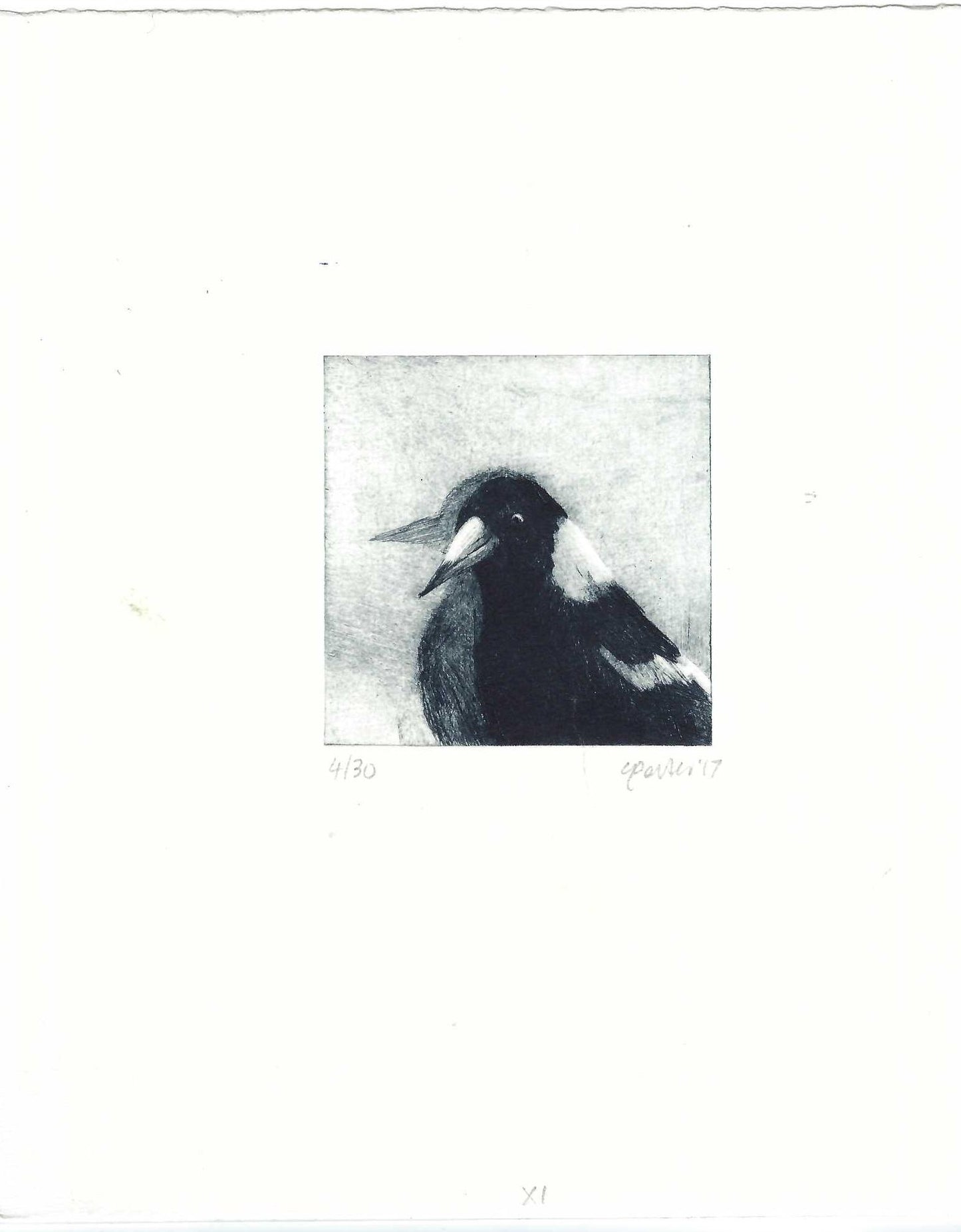 Christine Porter - Magpie XI