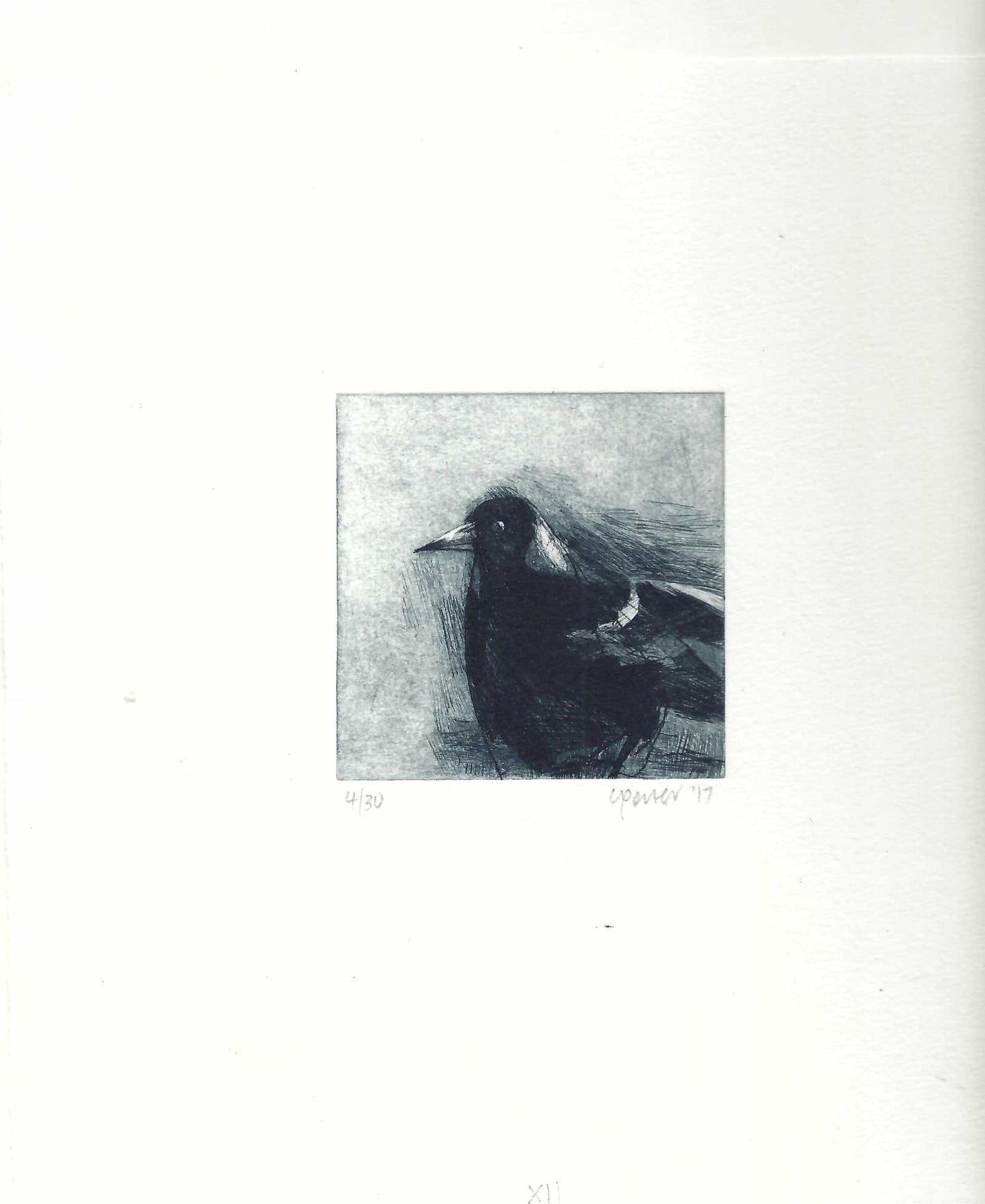 Christine Porter - Magpie XII