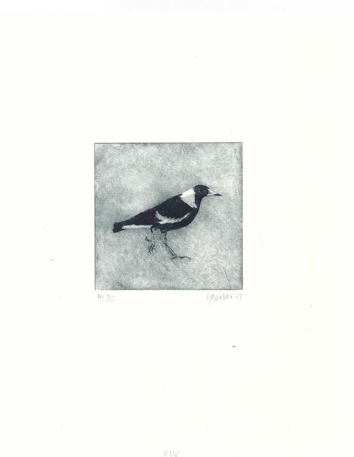 Christine Porter - Magpie XIV