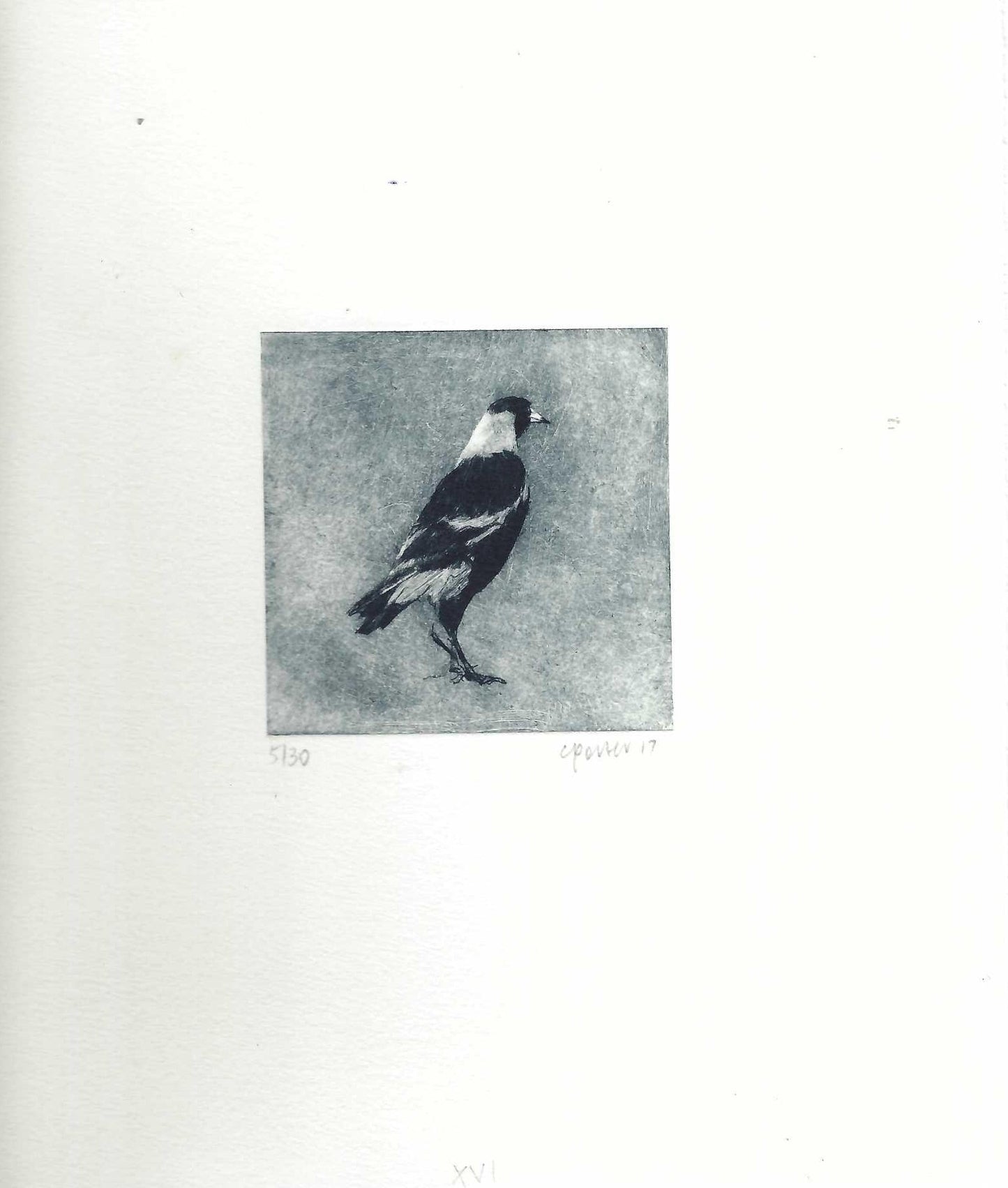 Christine Porter - Magpie XVI