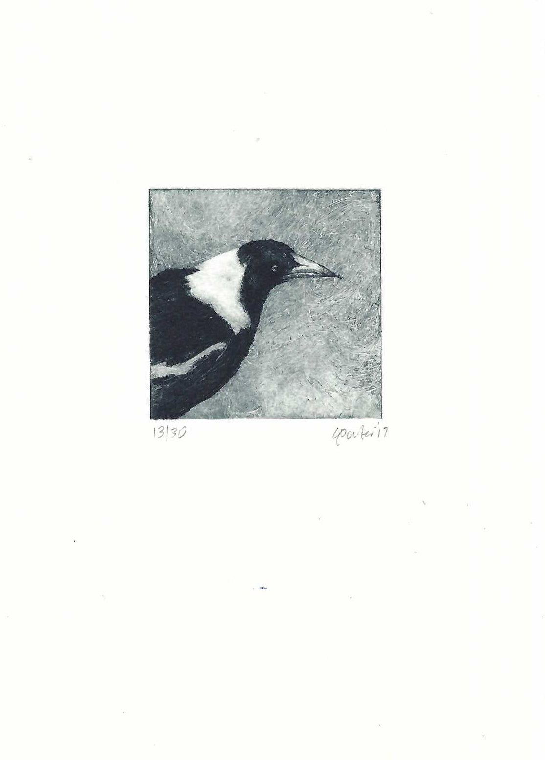 Christine Porter - Magpie XX