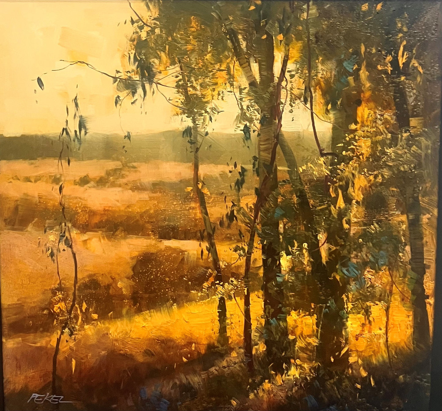 Herman Pekel - Evening Light near Landsborough