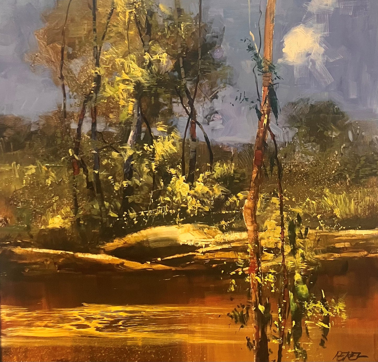 Herman Pekel - Metcalf Pool