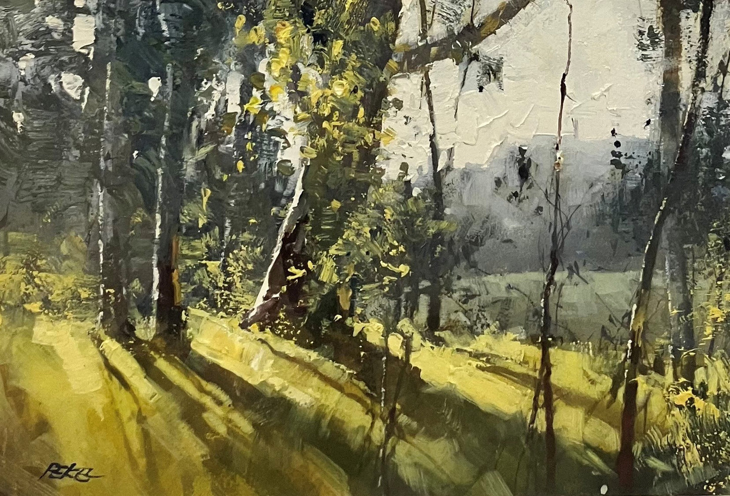 Herman Pekel - Gum in Winter, Kilcoy