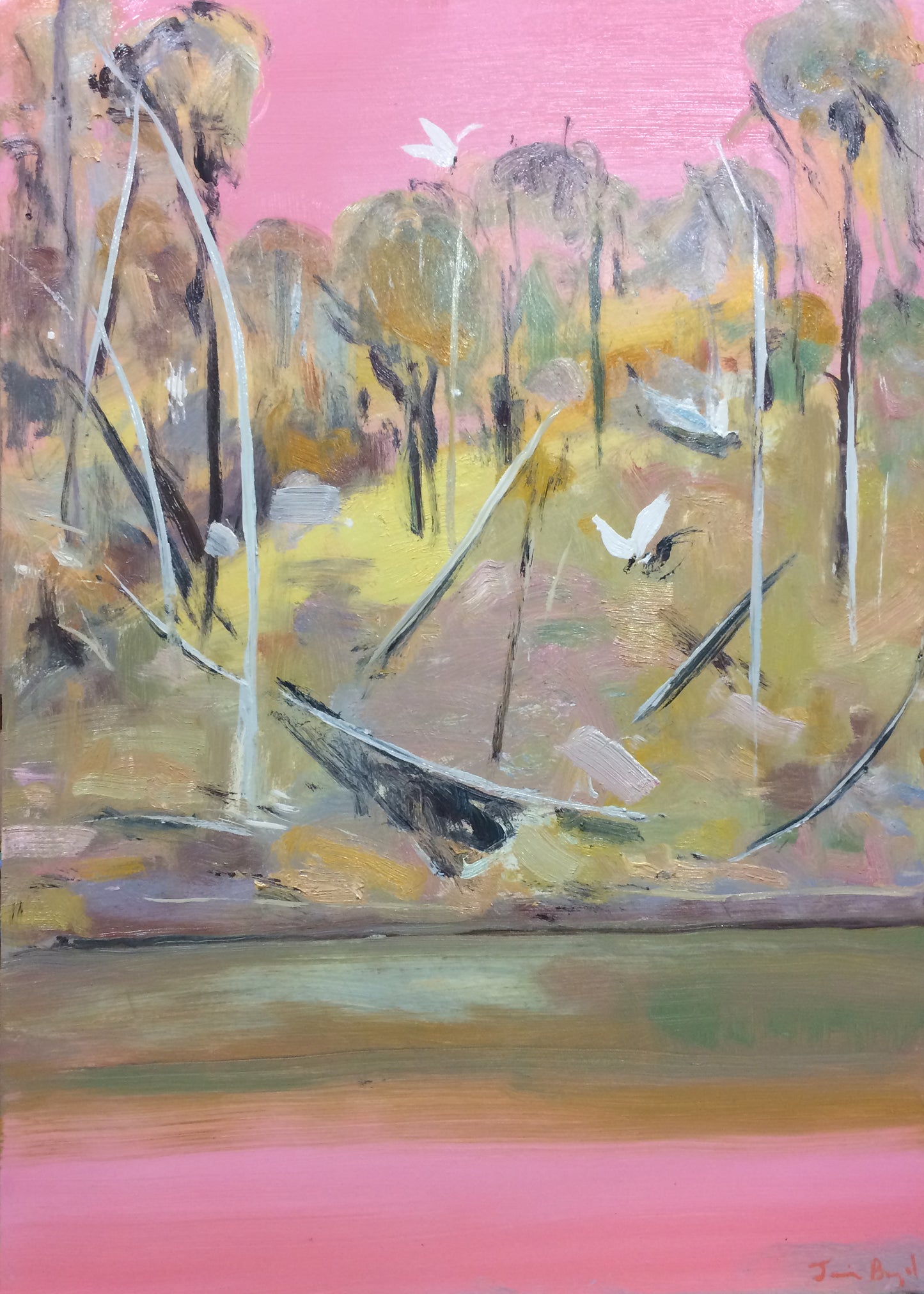Jamie Boyd - Riverbank with White Cockatoo