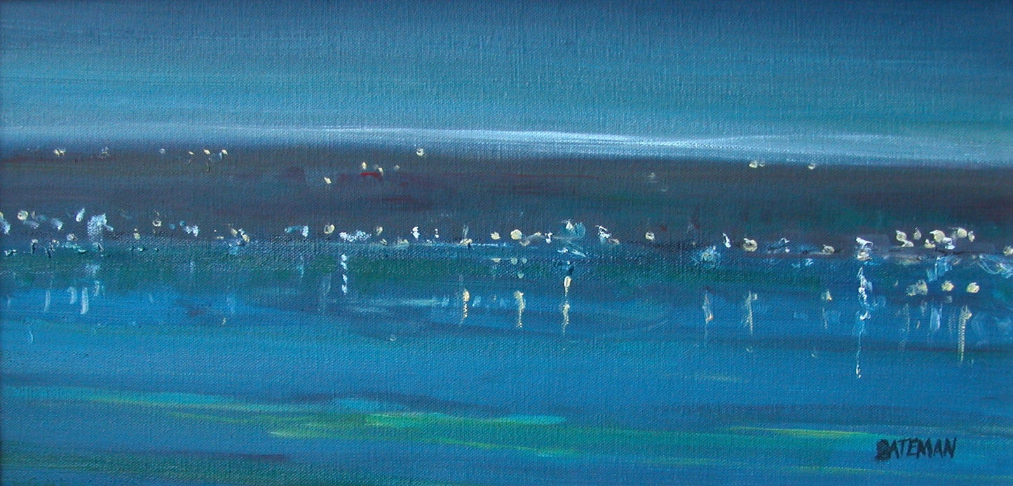 Piers Bateman - Night Time South Coast