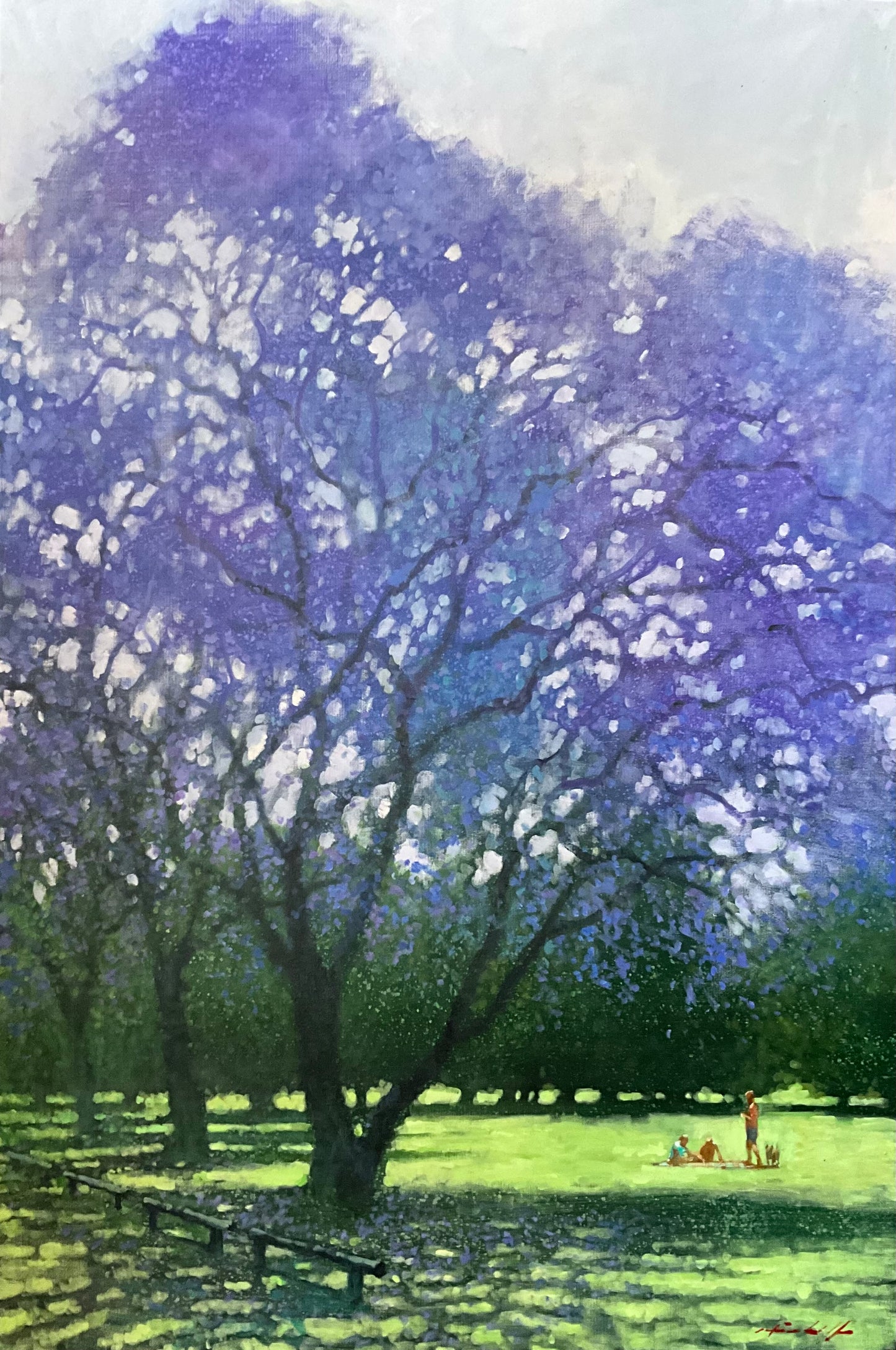 David Hinchliffe - Jacaranda Magic