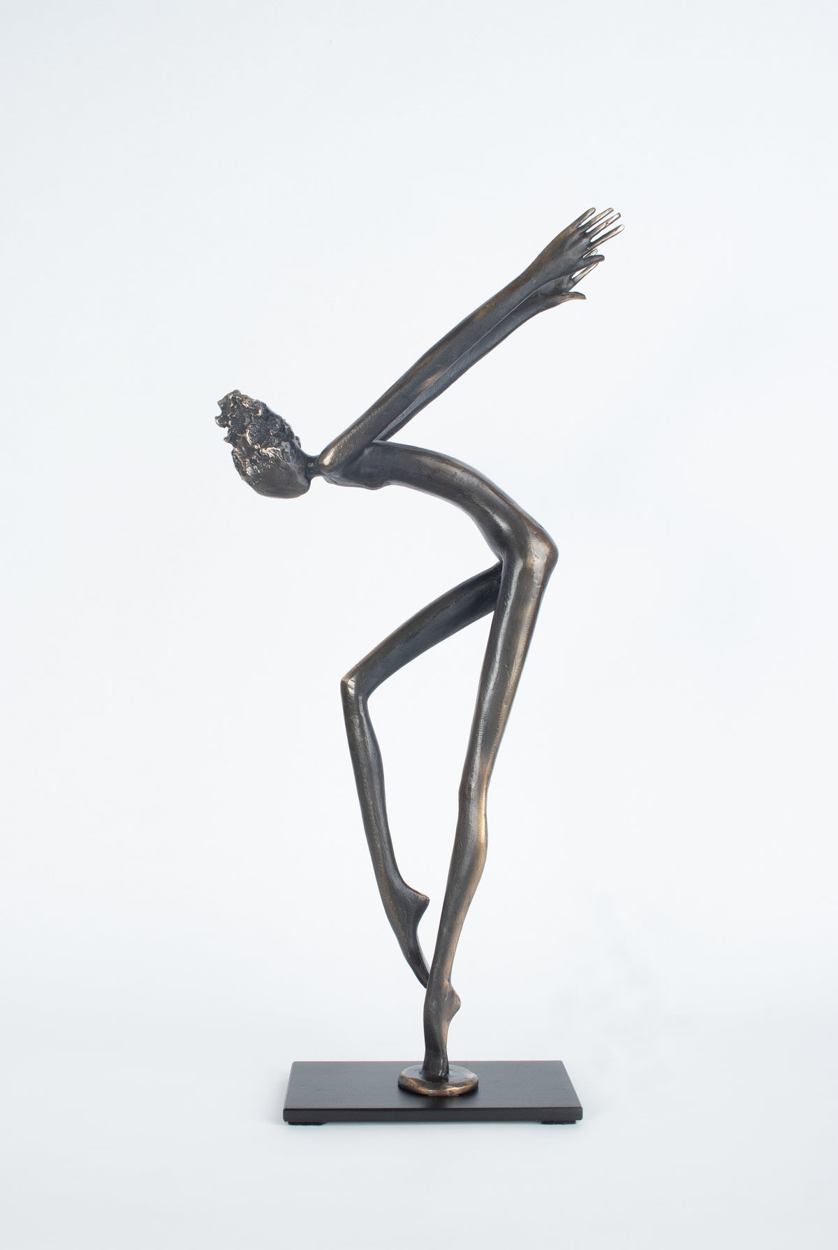 Denise Murray - The Spirit of the Dance