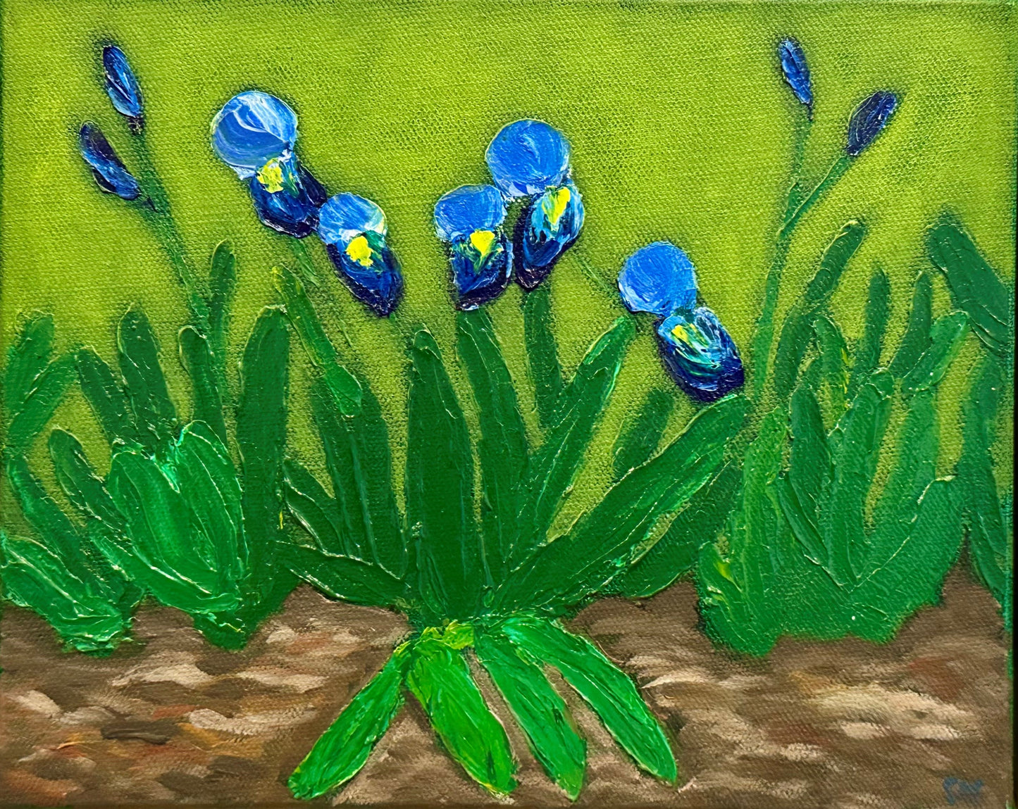 Geraldine Mackenzie - Les Irises de Saint Remy 2