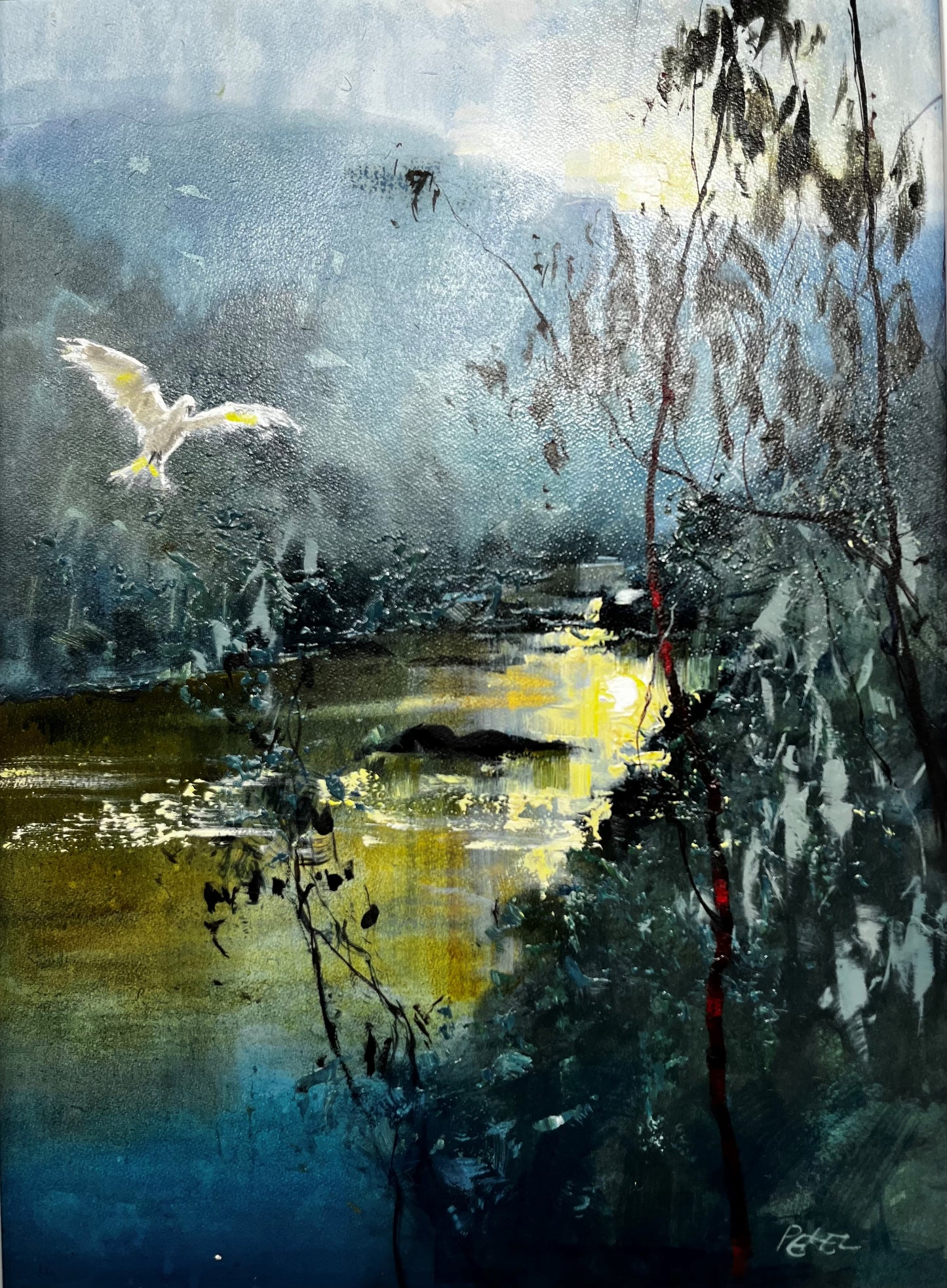 Herman Pekel - Near Maleny