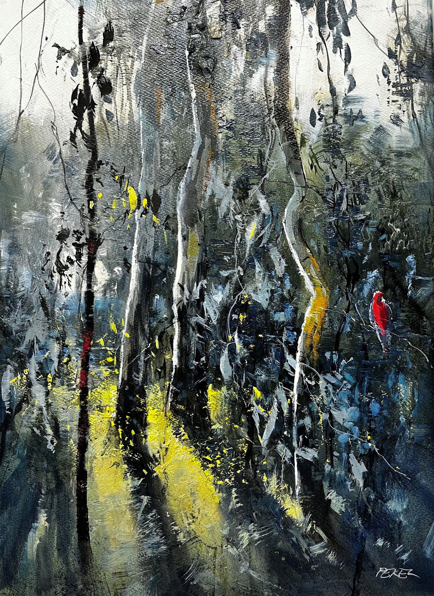 Herman Pekel - Last Light with Gums