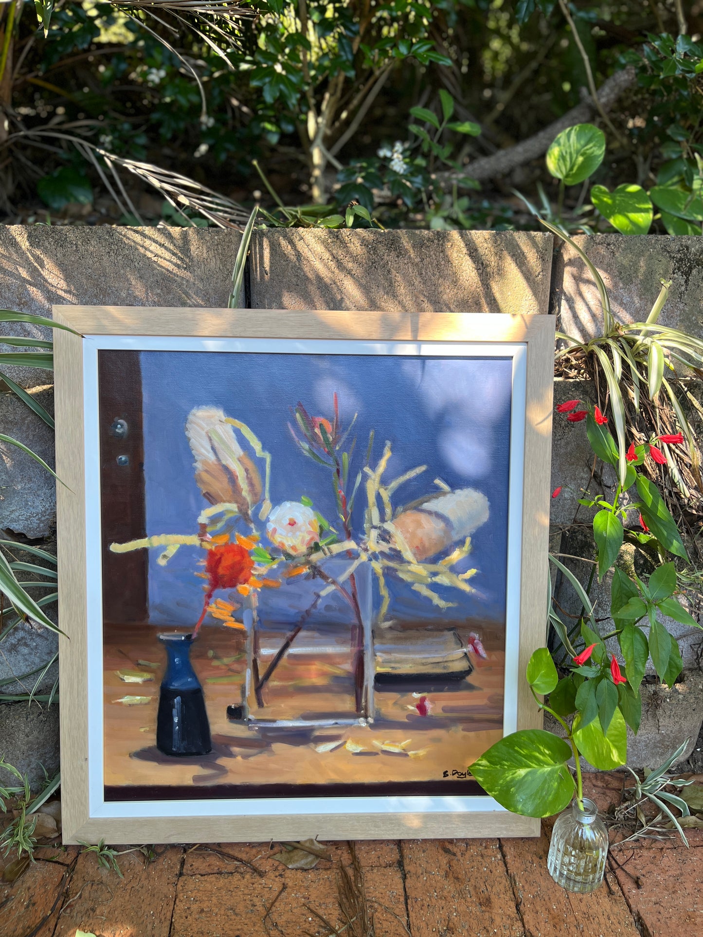 Stephen Doyle - Australian Natives