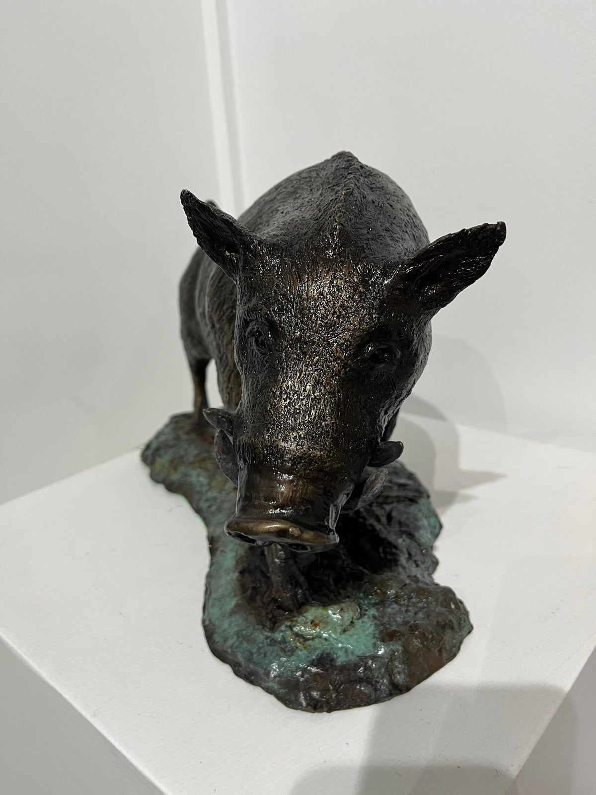 Dean Rusling - Wild Boar