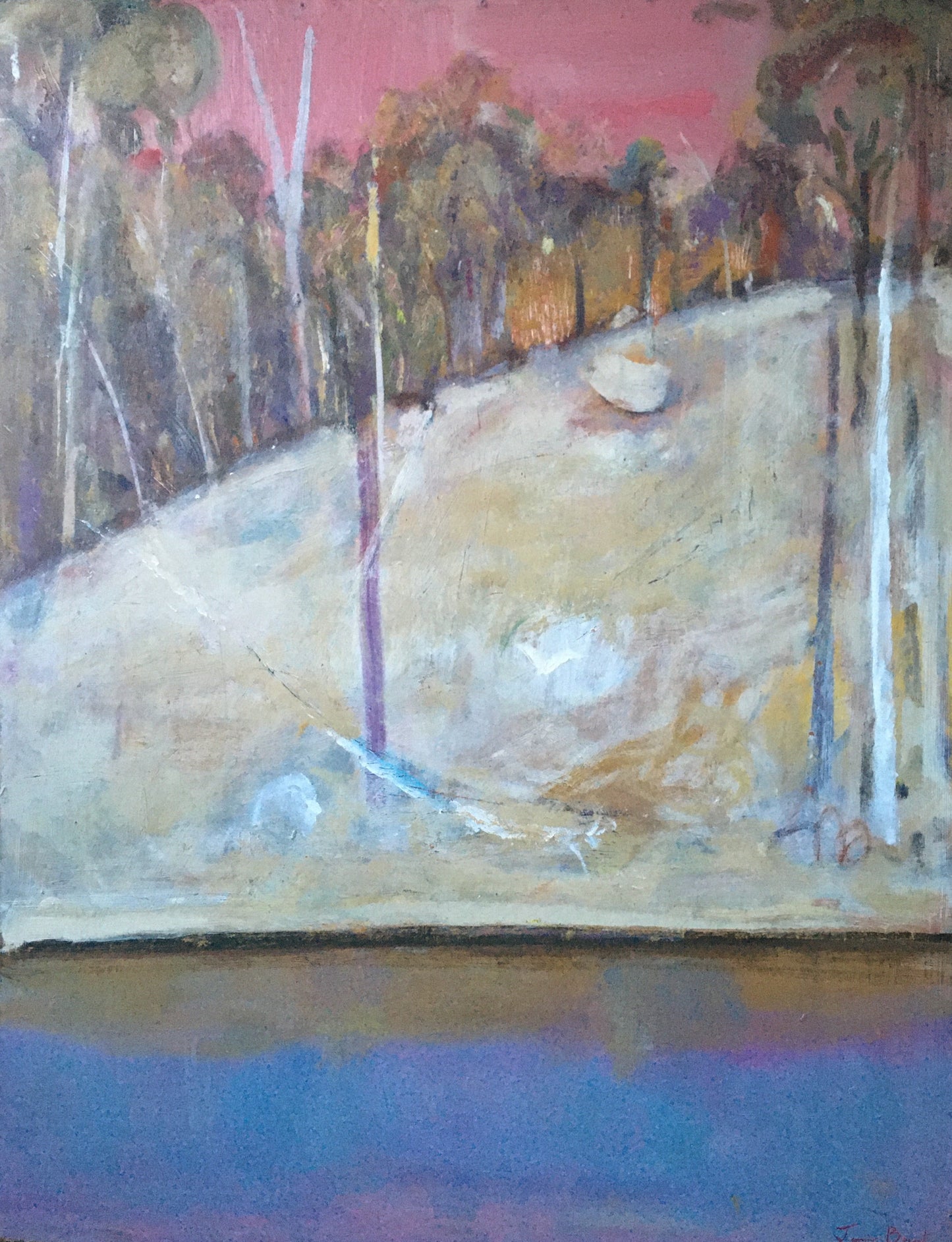 Jamie Boyd - Pink Sky Over River