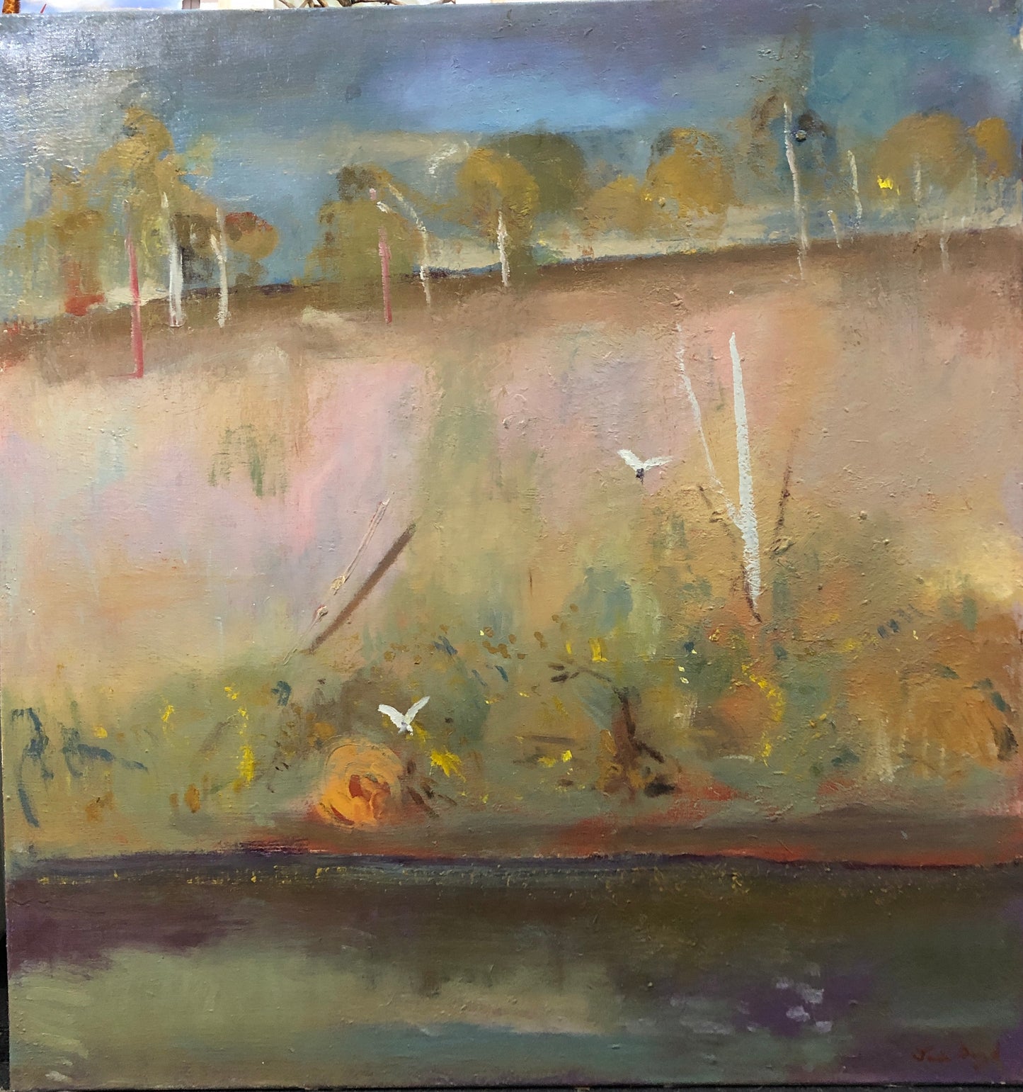 Jamie Boyd - Riverbank With White Bird