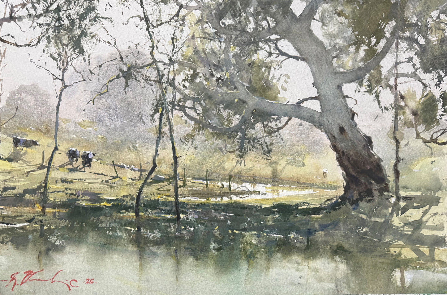 Joseph Zbukvic - Billabong Reflections