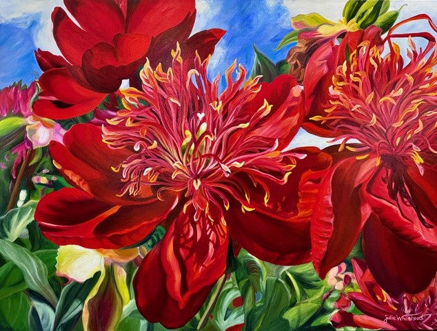 Red Peonies