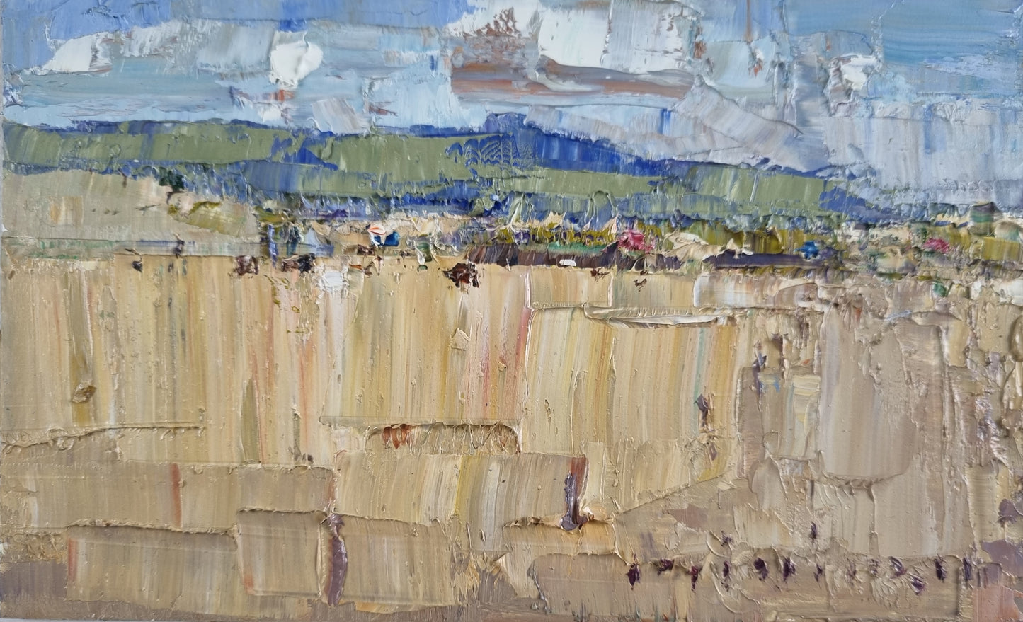 Minhan Cho - Landscape in Kilcoy