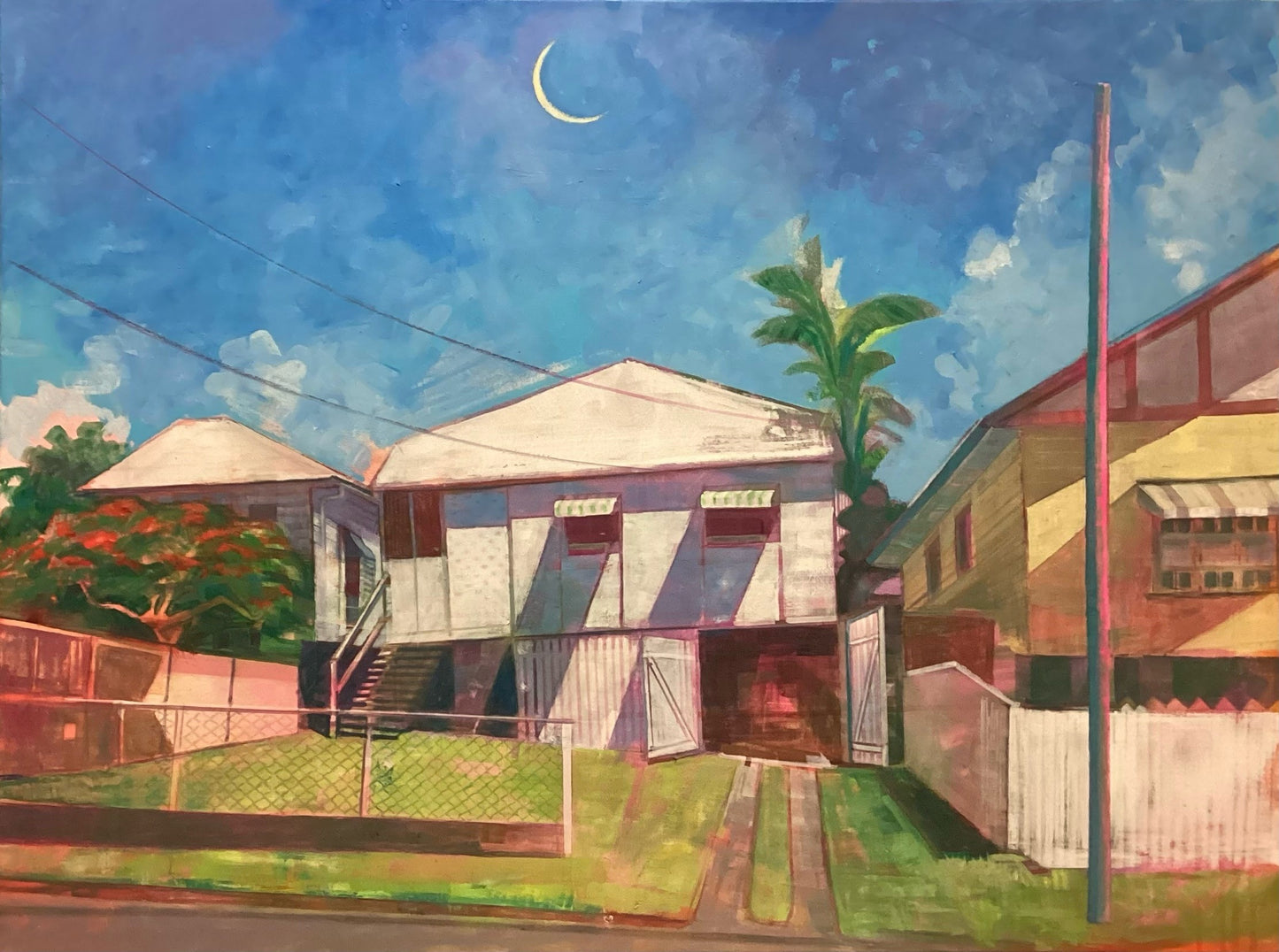 Nick Olsen - New Moon over Windsor Backyard