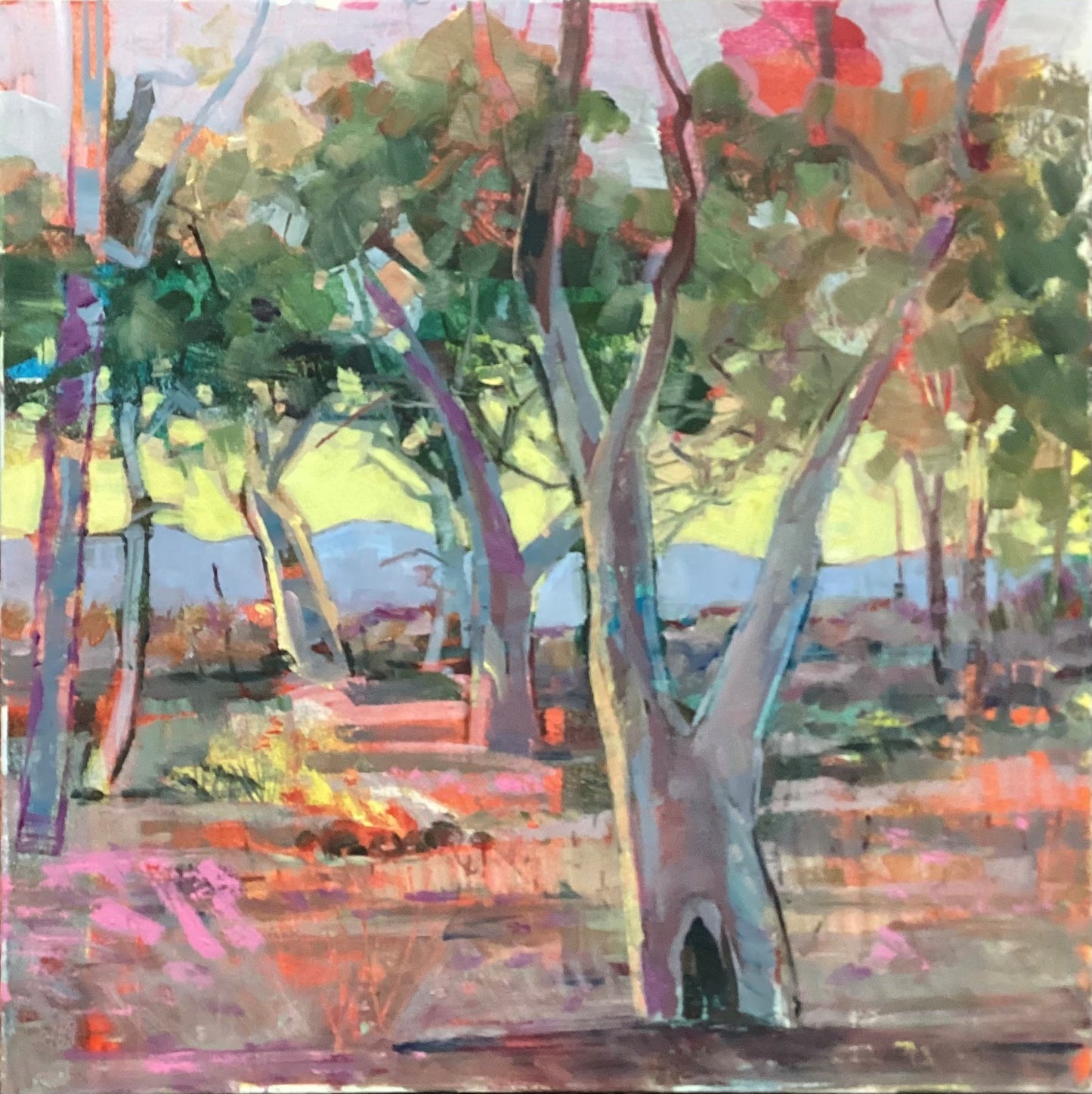 Nick Olsen - Camp Fire in the Flinders Ranges