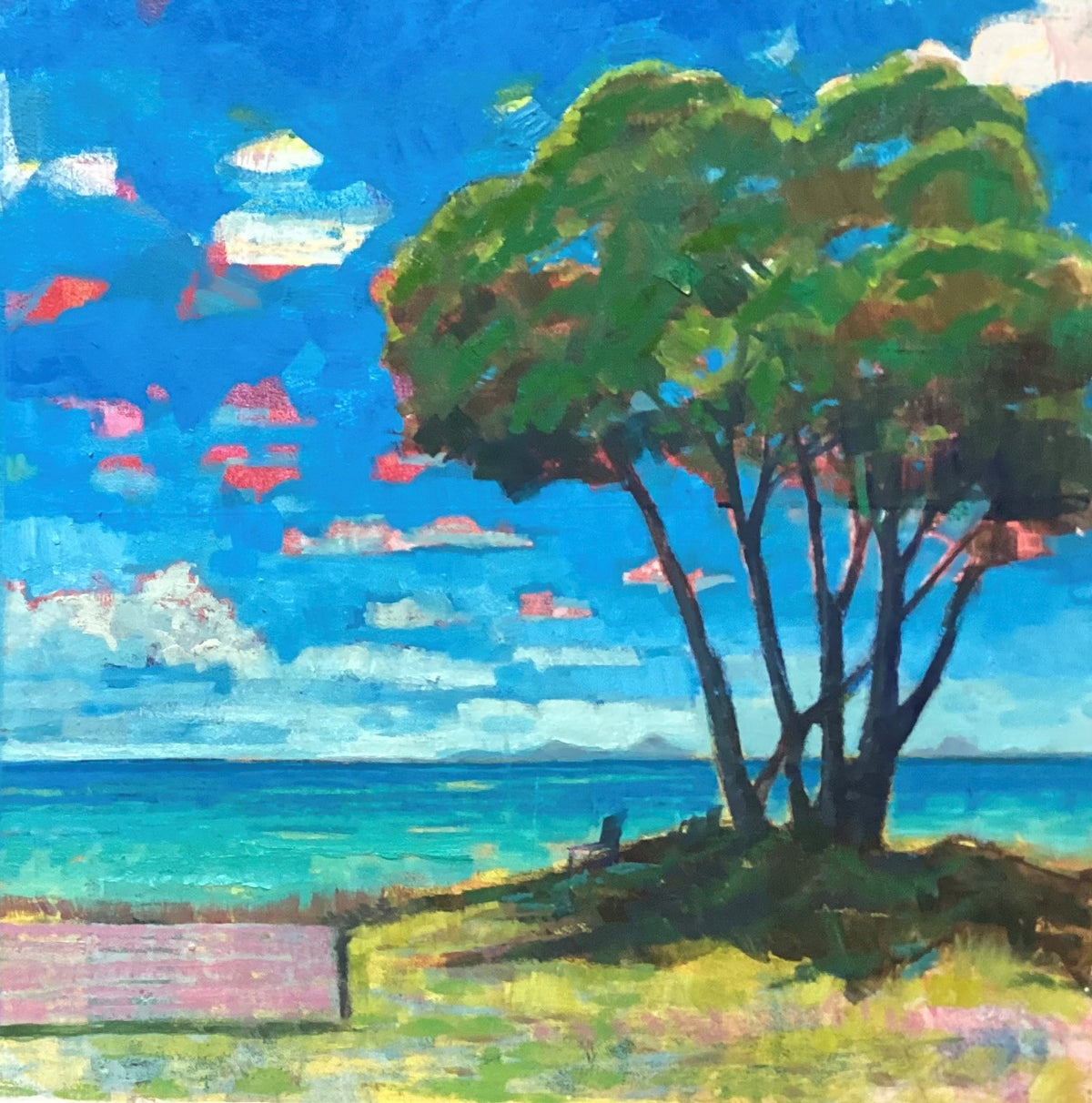 Nick Olsen - Moreton Island Magic