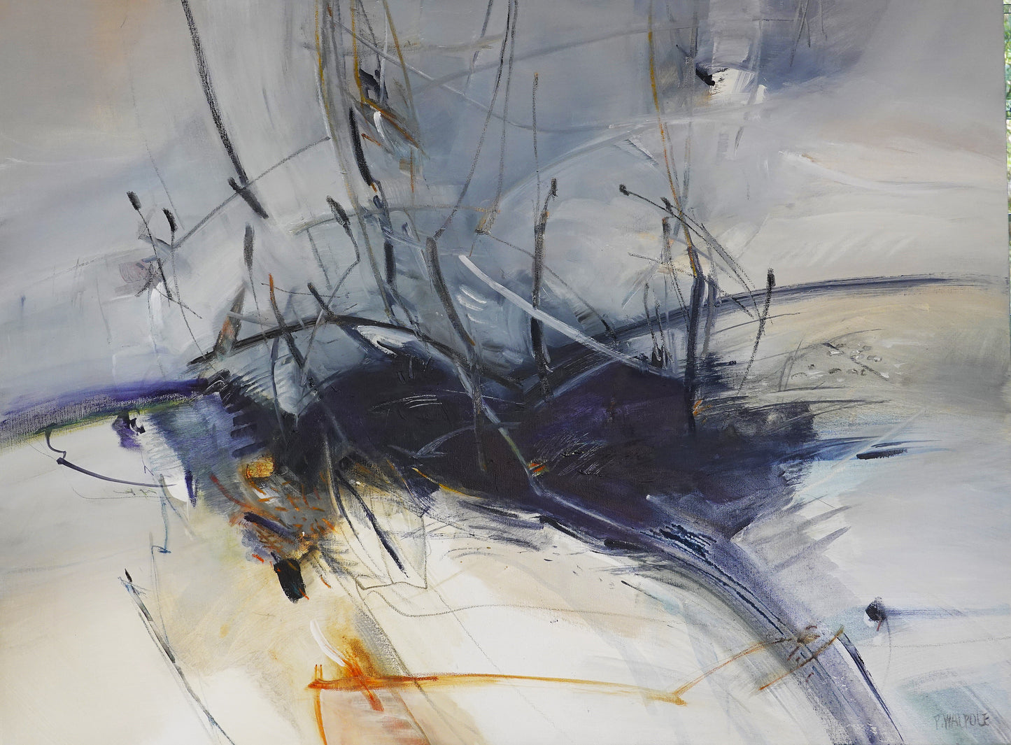 Pam Walpole - Broken Gully