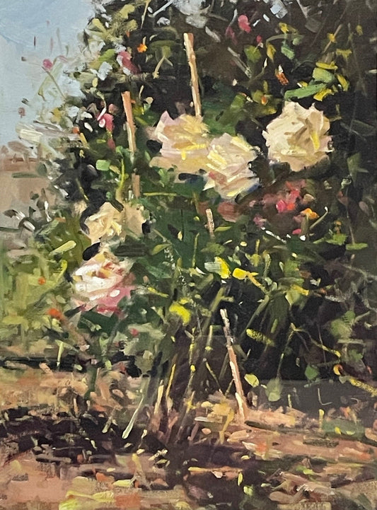 Stephen Doyle - Summer Rose Garden