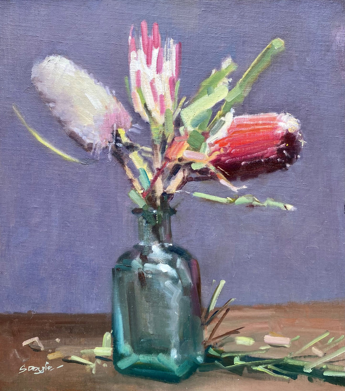 Stephen Doyle - Banksia in Blue Bottle