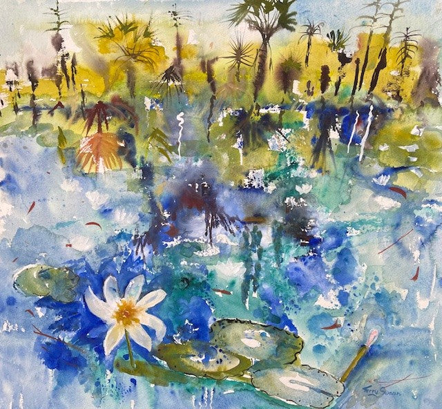 Terry Swann - Arafura Wetland