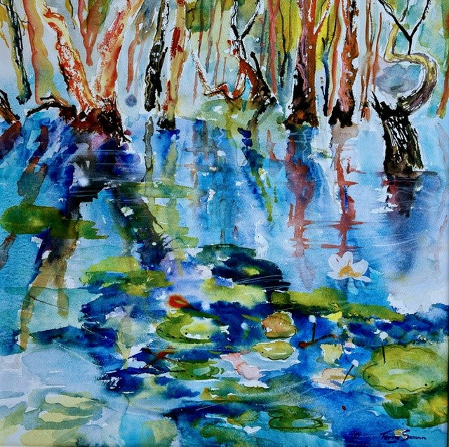 Terry Swann - Mary River Wetland