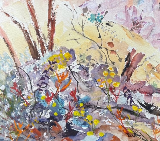 Terry Swann - Renmark, S.A. - Wildflower Time