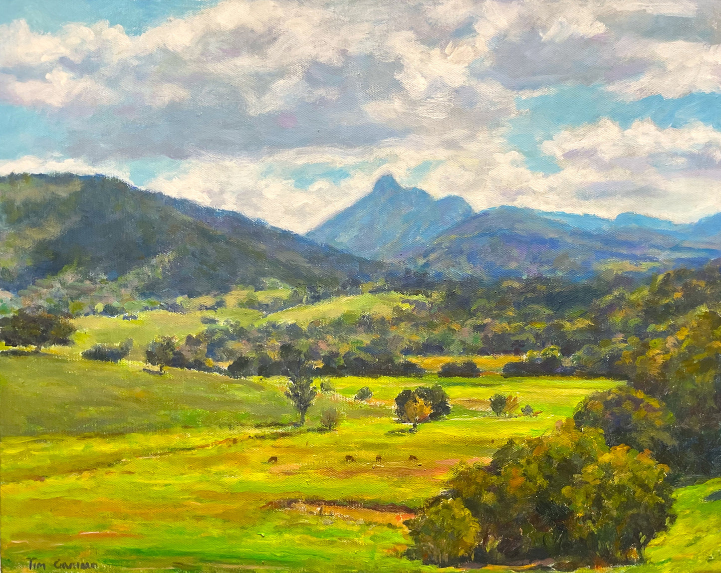 Tim Graham - Shadows in the Tweed
