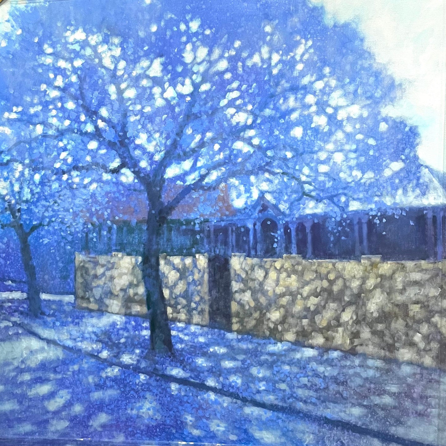 David Hinchliffe - Jacaranda Blooms on Gregory Terrace