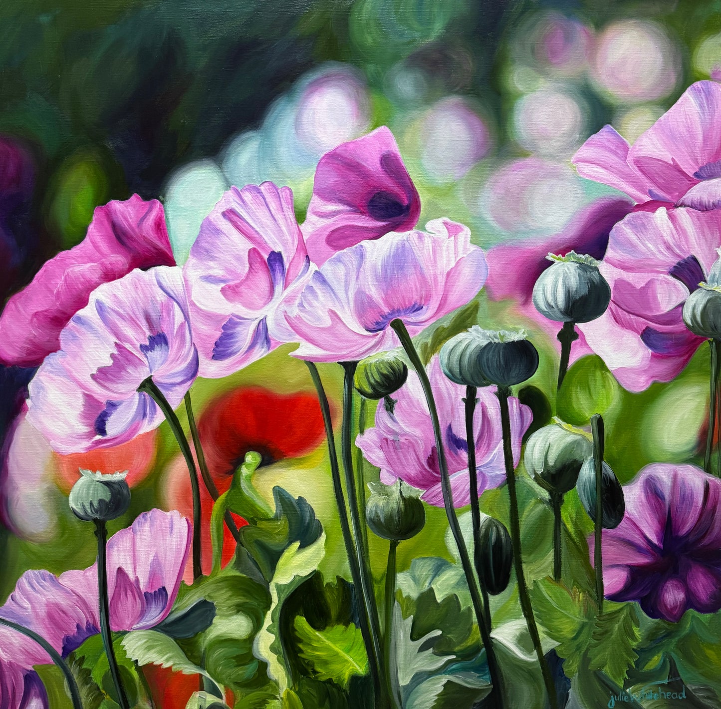 Julie Whitehead - French Poppies 2
