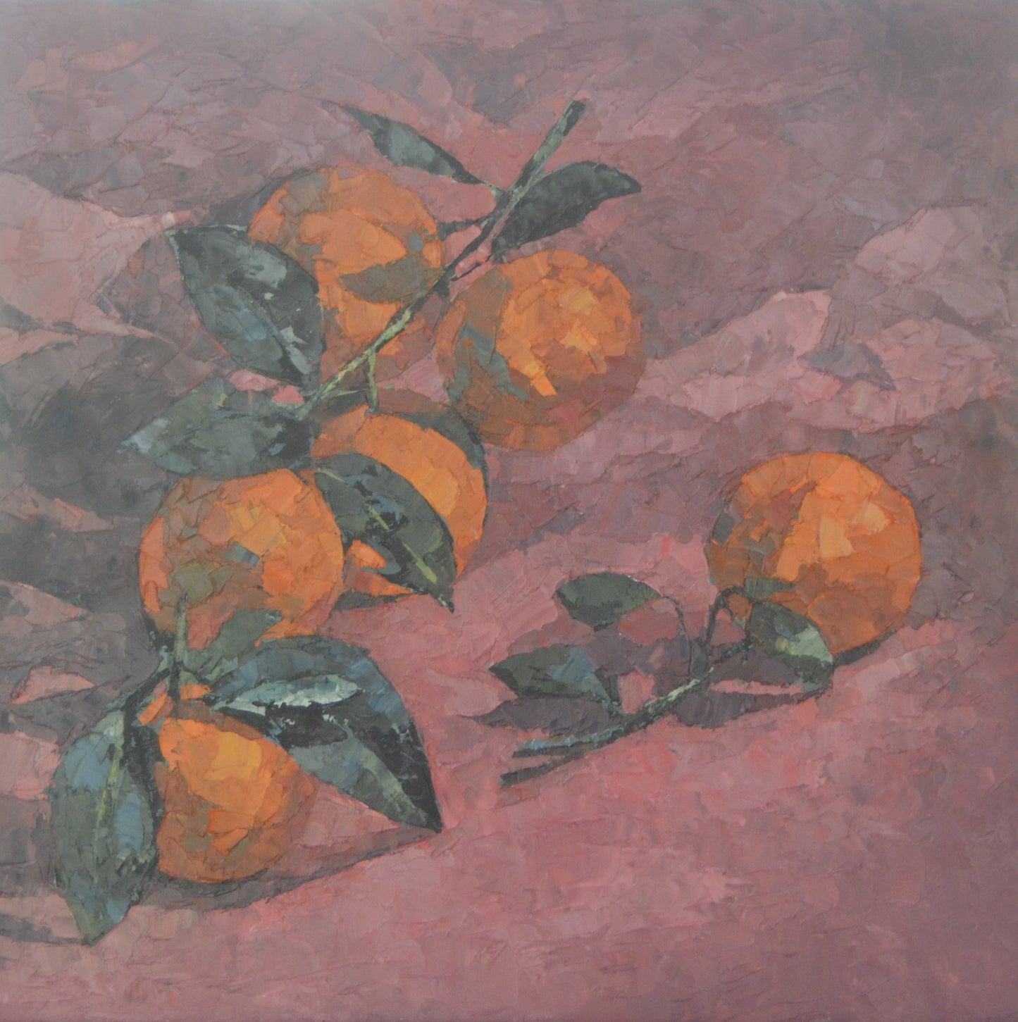 Stacey Conridge - Sweet Mandarins from the Garden