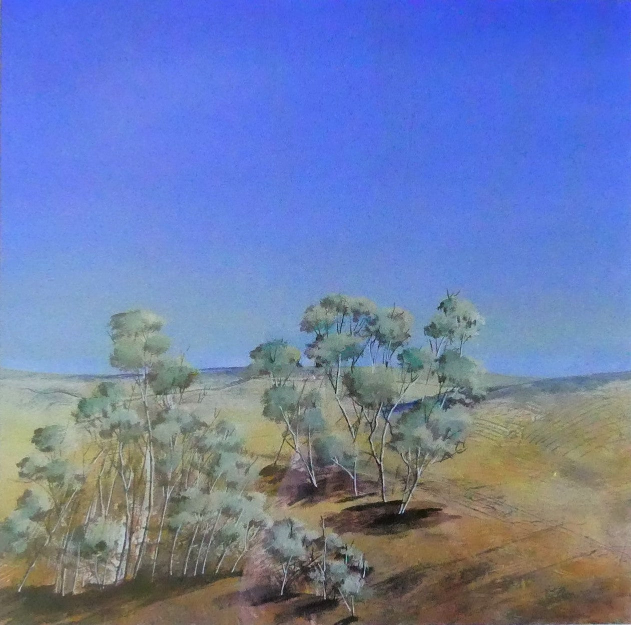 Anni Washington - Eucalyptus in Landscape