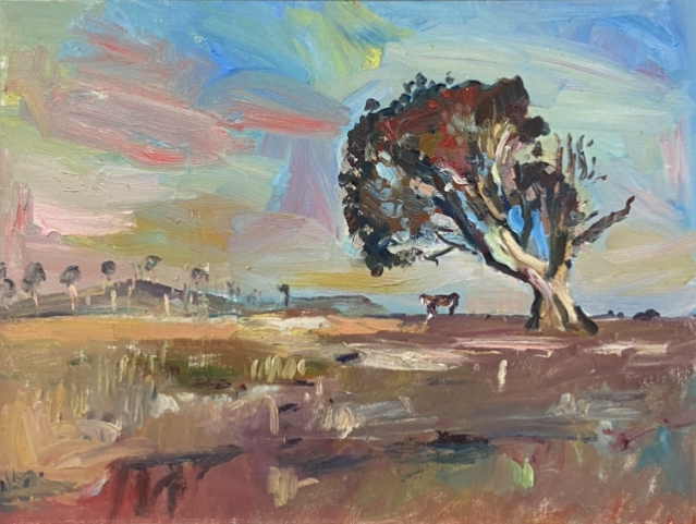 Jamie Boyd - Evening Light