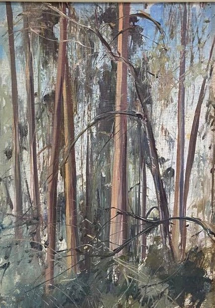 Jamie Boyd - Bush Scene
