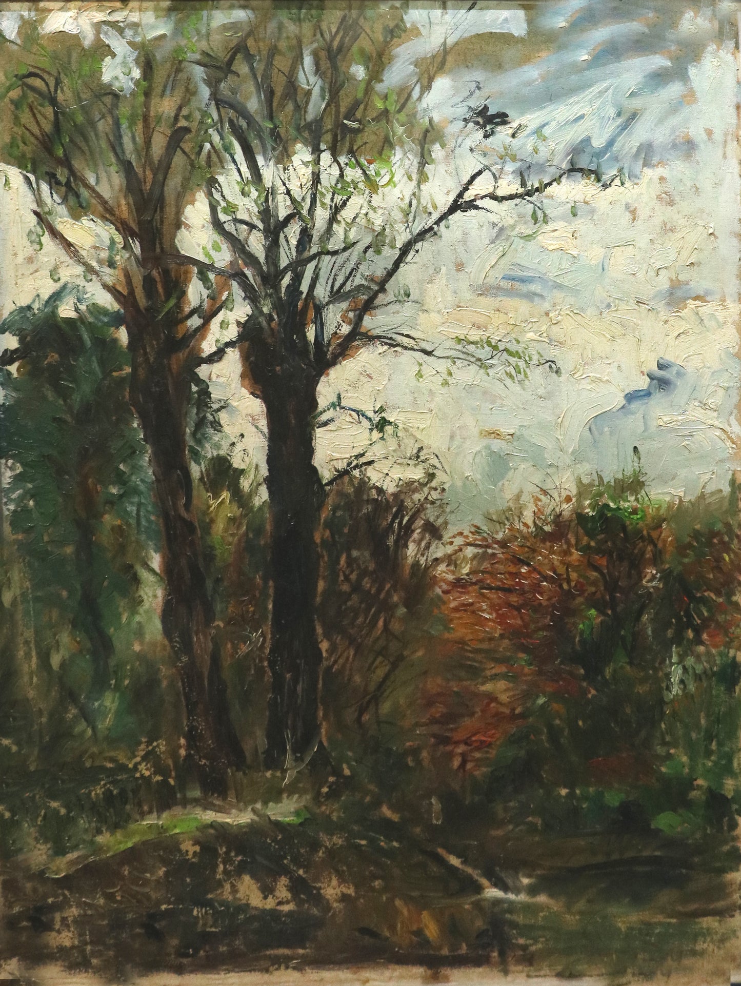 Jamie Boyd - Autumn Landscape