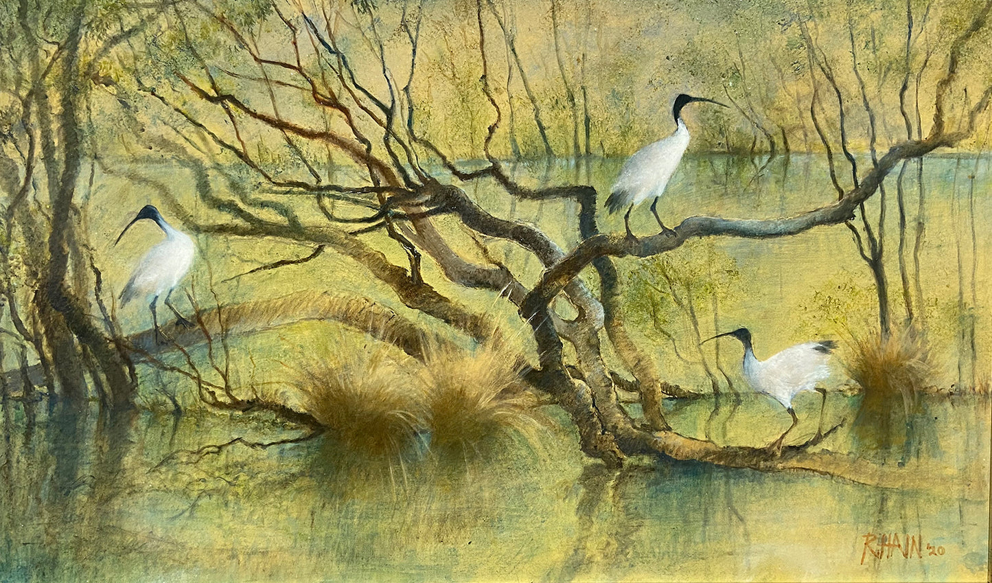 Rosemary Hain - Wetland with Three Ibis