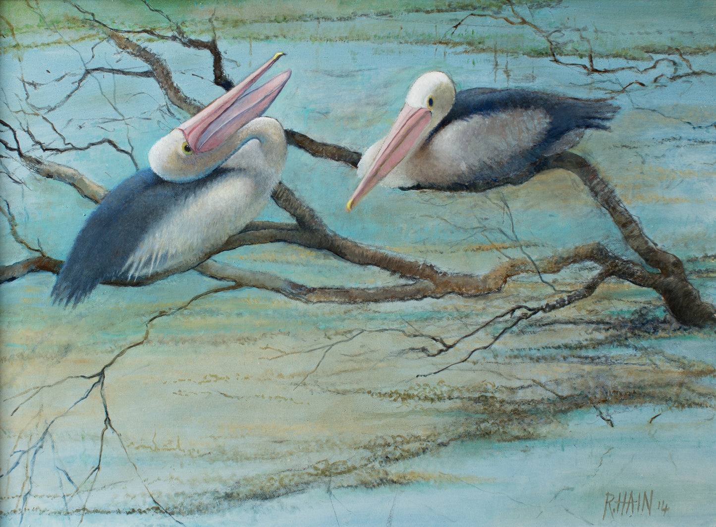 Rosemary Hain - Pelicans on a Log