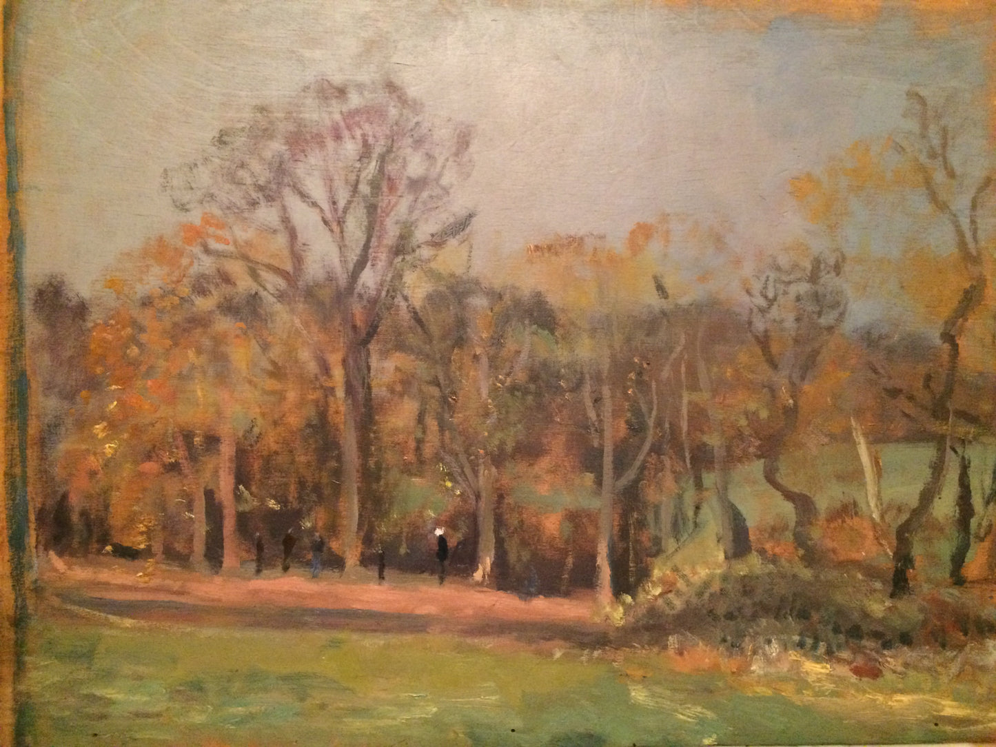 Jamie Boyd - Autumn, Hampstead Heath