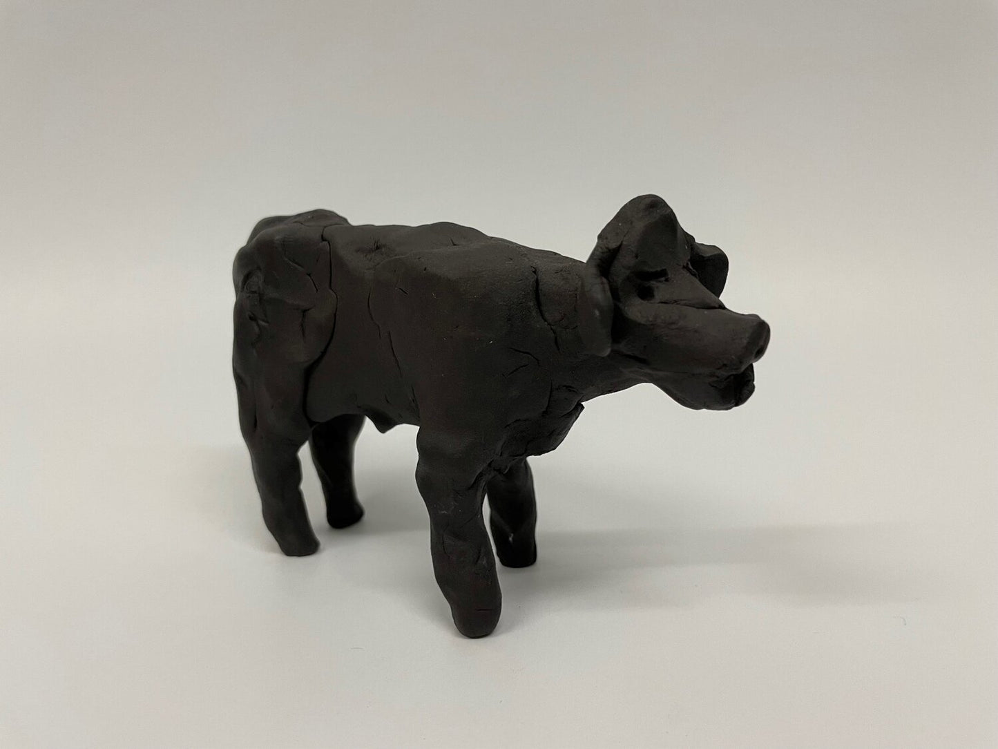 Jonathan Morse - Spencer