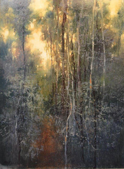Herman Pekel - Hidden Wilderness