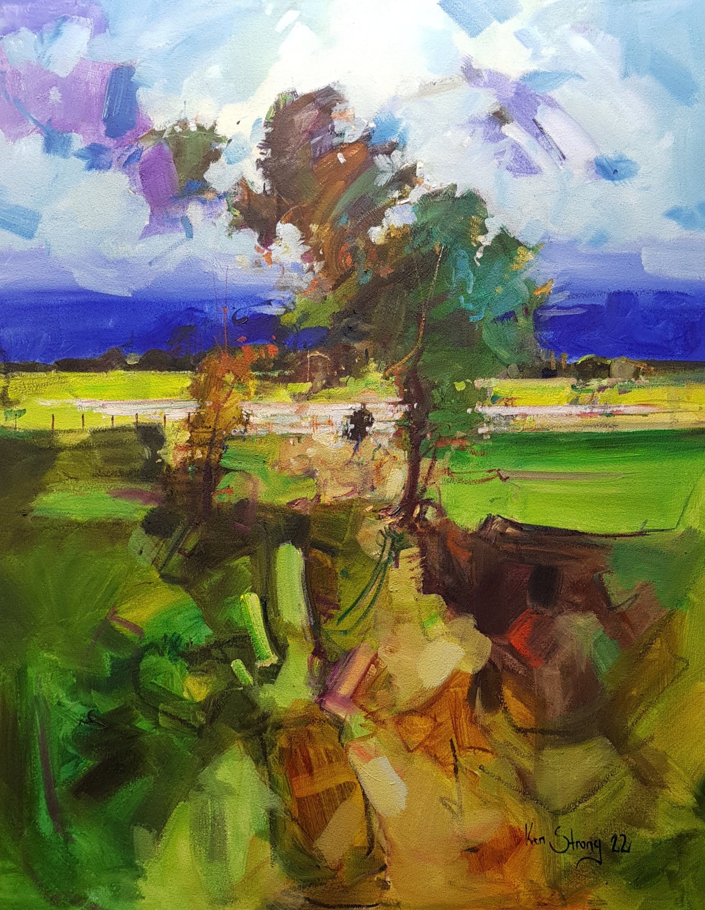 Ken Strong - The Grass, The Ticket & the Fruit Tree Wild